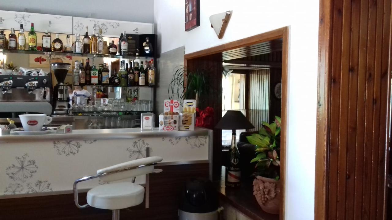 Pinguino Pescasseroli
