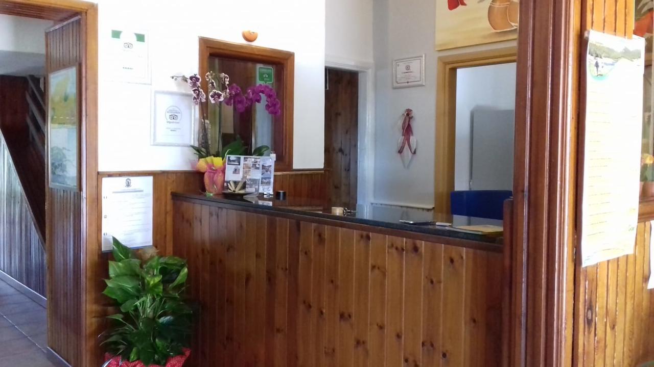 Pinguino