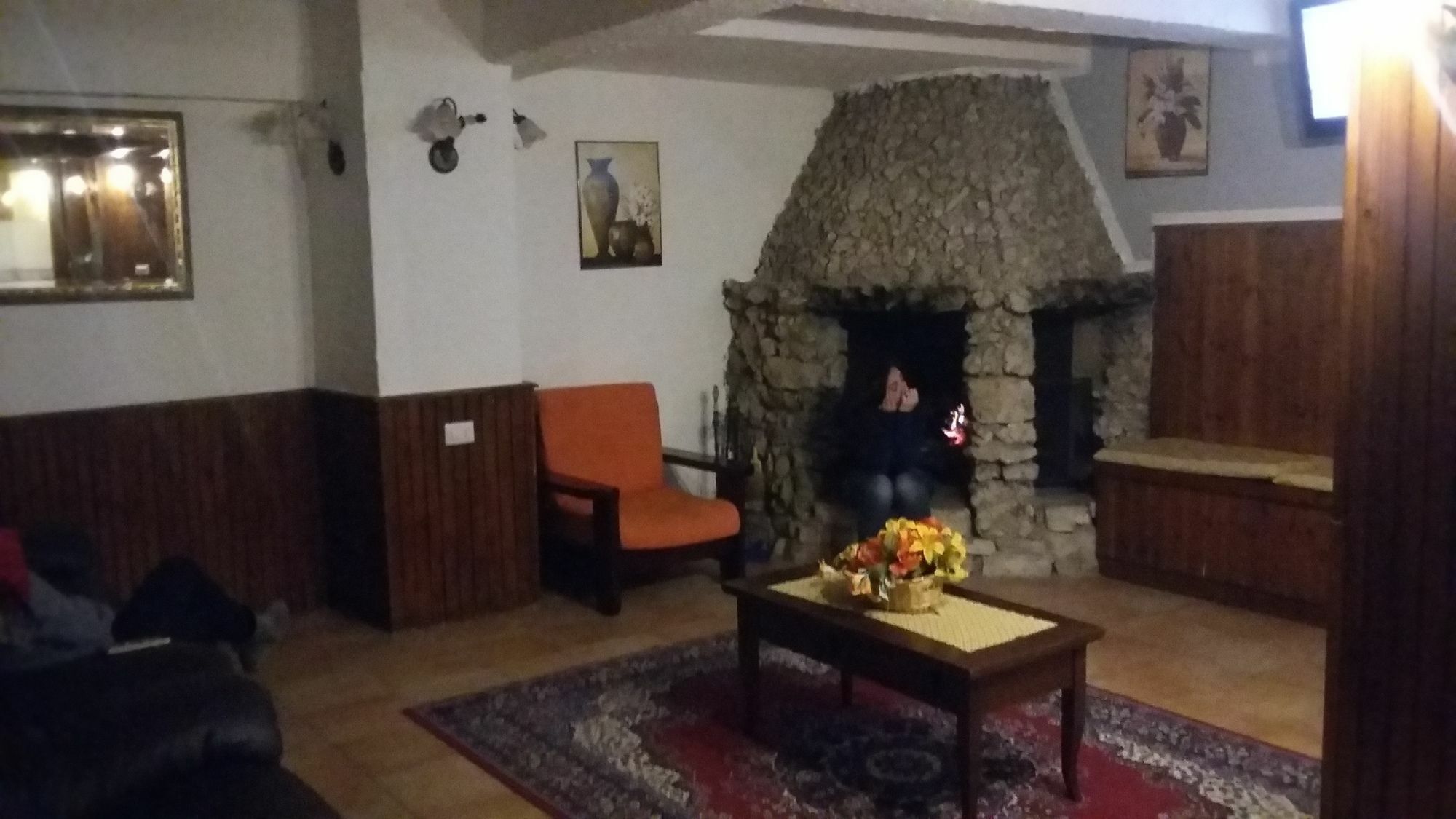 Pinguino Hotel 3*